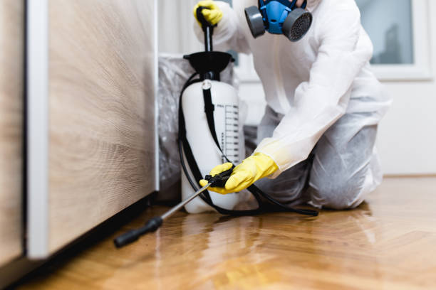 Best Pest Control Near Me in St James, MO