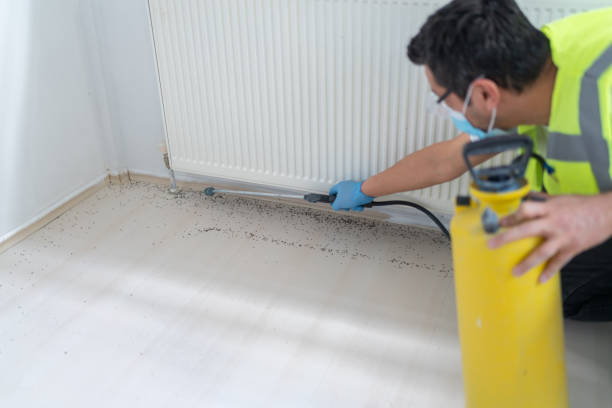 Best Ant Control Services  in St James, MO