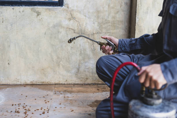 Best Best Pest Control Companies  in St James, MO