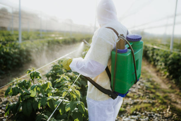 Best Best Pest Control Near Me  in St James, MO